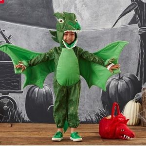 Pottery Barn Kids Green Dragon Costume